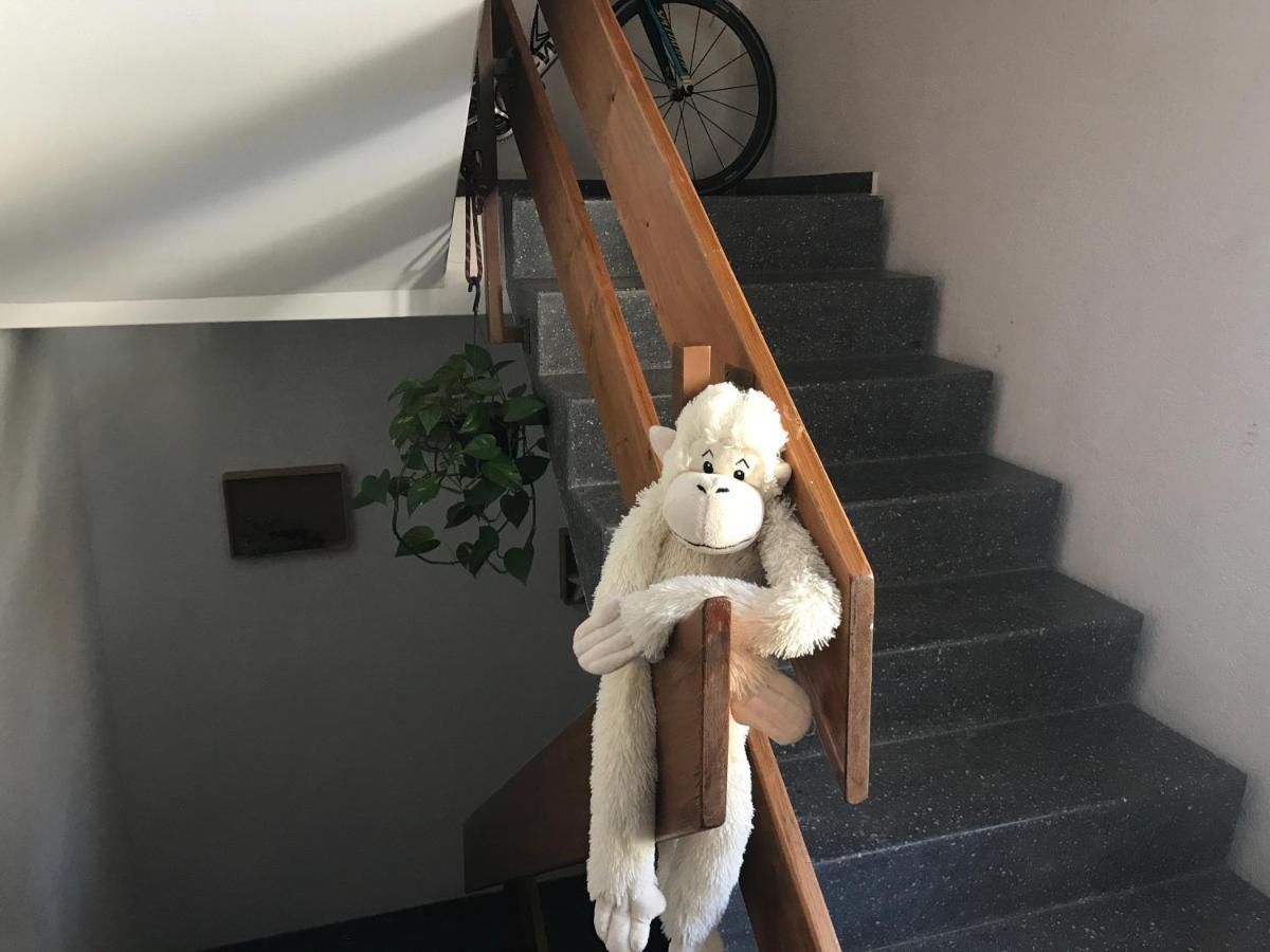 Laerchenwald Lodge 벨발트 외부 사진