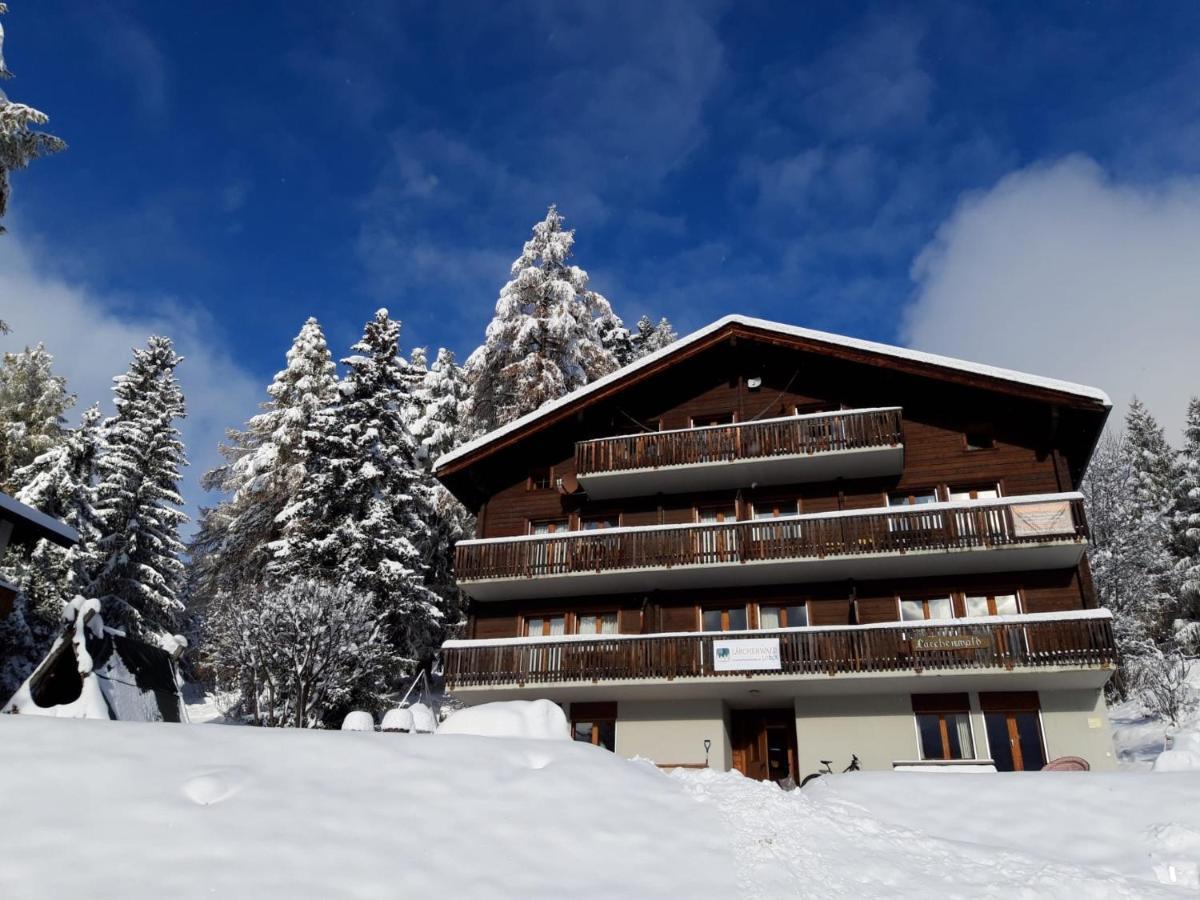 Laerchenwald Lodge 벨발트 외부 사진