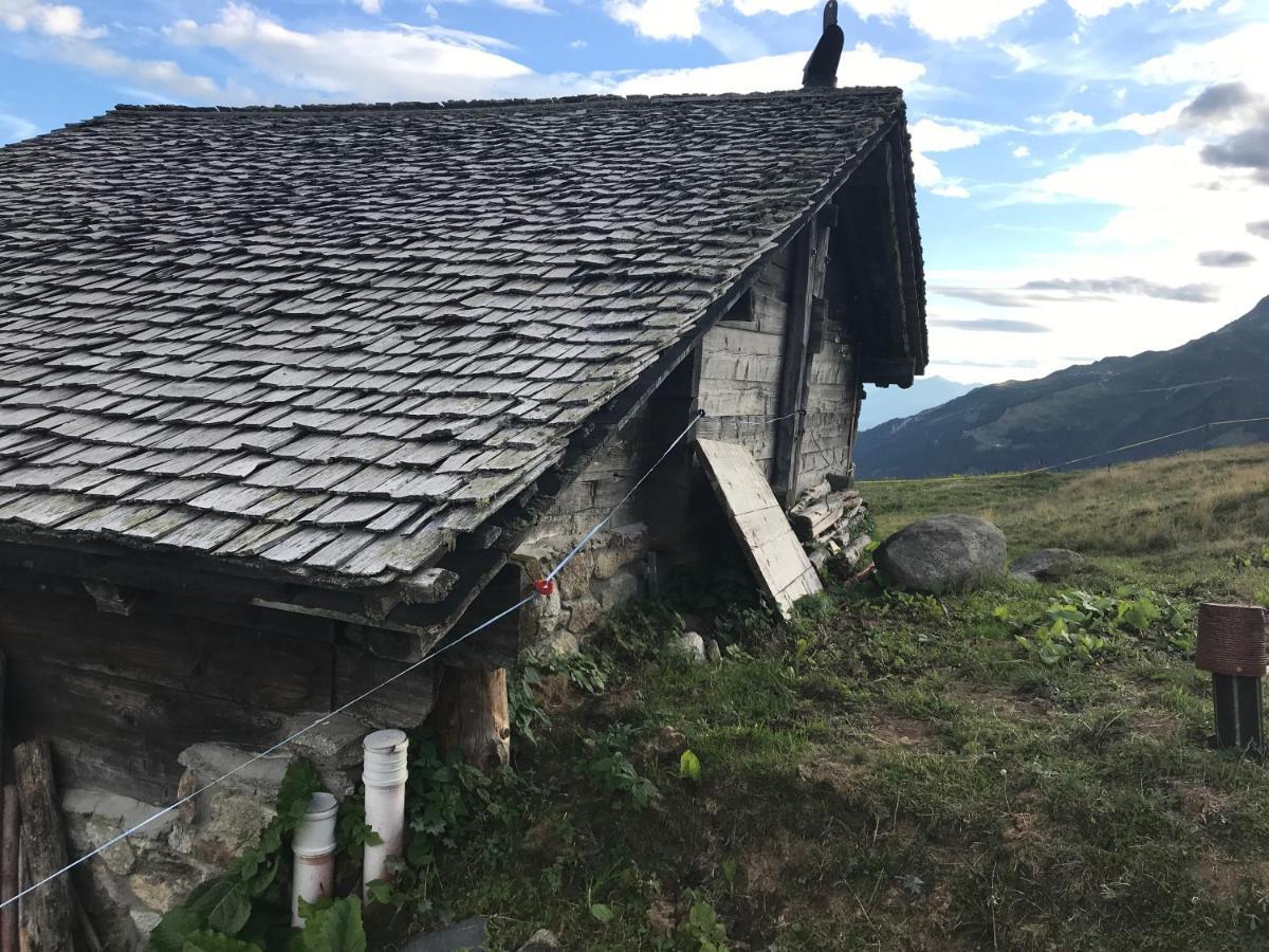 Laerchenwald Lodge 벨발트 외부 사진