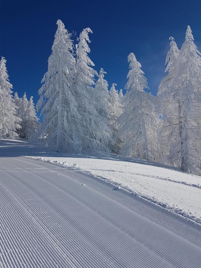 Laerchenwald Lodge 벨발트 외부 사진