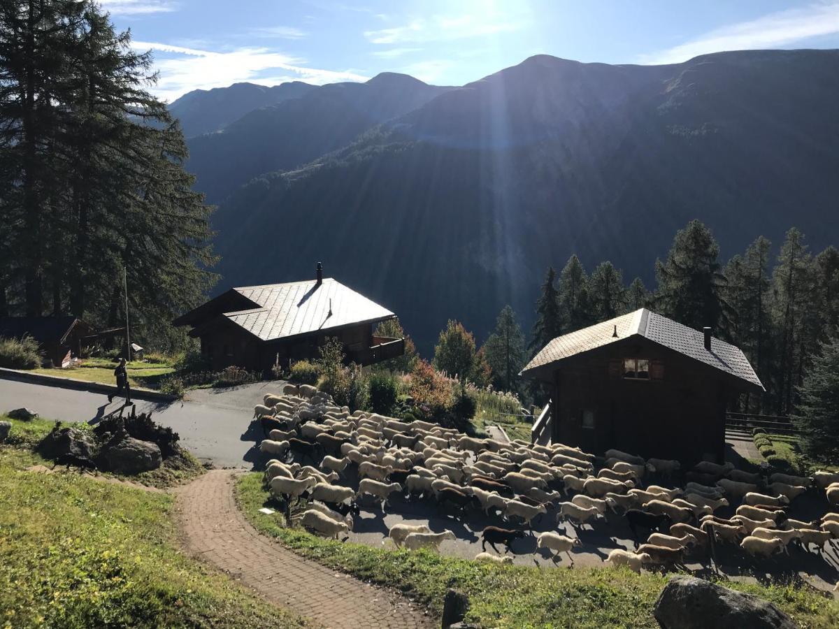 Laerchenwald Lodge 벨발트 외부 사진