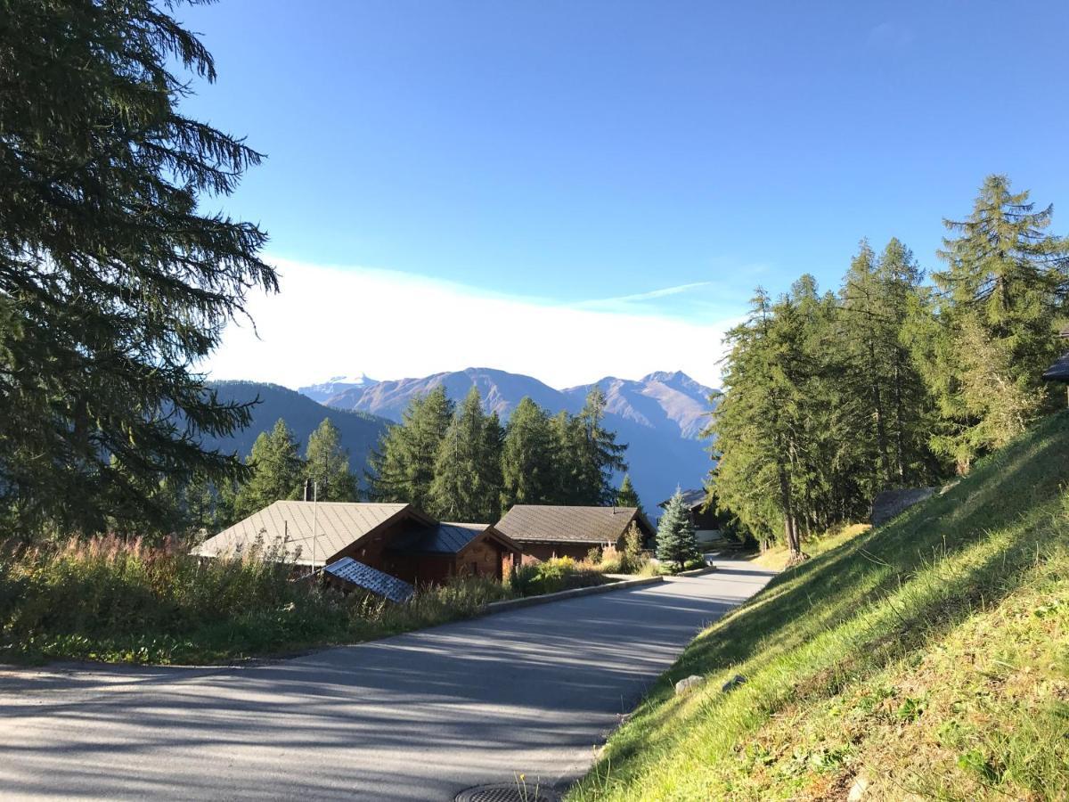 Laerchenwald Lodge 벨발트 외부 사진